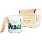 Vela Vegetal Aromática Para Jardim | Garden Cactus - Caixa De